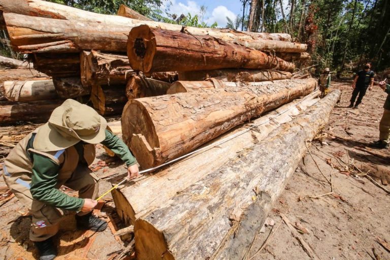 Leia mais sobre o artigo Falhas na arrecadação de imposto sobre a terra facilitam especulação e desmatamento na Amazônia